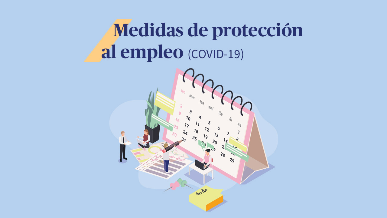 Medidas de protección al empleo